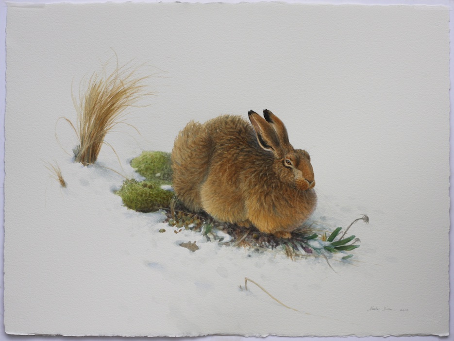 Nicolas Dillon | Alpine Form - Hare | McATamney Gallery | Geraldine NZ